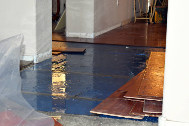Professional Basement Flood Cleanup technician working in Mount Eden, KY